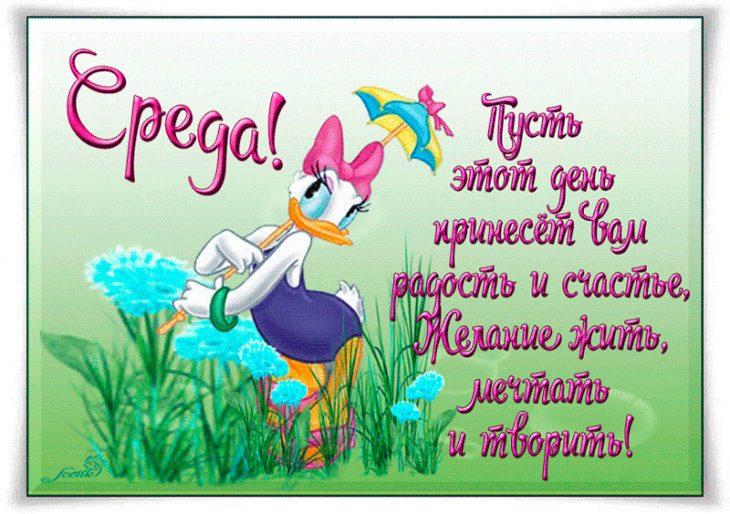 Открытки